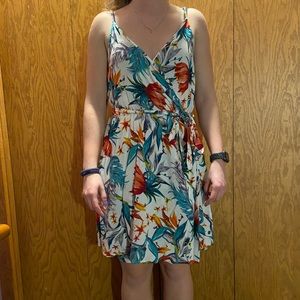 Birds of paradise dress
